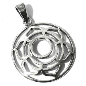 2`N XfBV^[iE`NiSvadhisthana CHAKRAj X^[OVo[ y_ggbv Ky[֑Ήz