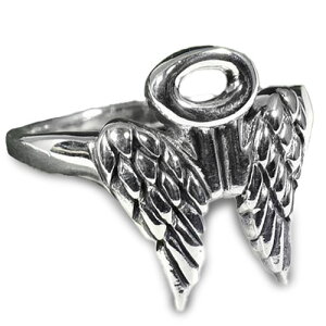 yPETER STONEzVg̉Hij Oiցj X^[OVo[ Oiwցj GWFECOyz