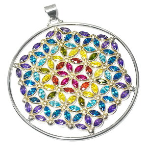 y_zt[IuCtỉԁj Zu`N ΎVR X^[OVo[ y_ggbv dF41D6g c[IuCti̎jyz