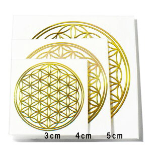 t[IuCtỉԁj F ^ij XebJ[ 3Zbg 3TCYiaF3C4C5cm e1j 􉽊w͗ly[֑Ήz