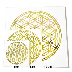 t[IuCtỉԁj F ^ij XebJ[ 3Zbg 3TCYiaF5C8C12cm e1j 􉽊w͗ly[֑Ήz