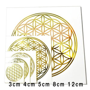 t[IuCtỉԁj F ^ij XebJ[ 5Zbg 5TCYiaF3C4C5C8C12cm e1j 􉽊w͗ly[֑Ήz