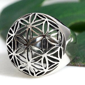 t[IuCtỉԁj X^[OVo[ Oiwցj c[IuCti̎j 񐹏 mb̎ A_ƃC y_gyz