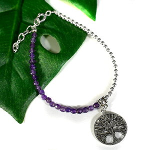 c[IuCti̎j AWXg X^[OVo[ uXbg c[IuCti̎j 񐹏 mb̎ A_ƃCy[֑Ήz