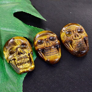 q[} XJi[j ^CK[ACiՖڐ΁j iJ[rOj v[g 25×35mm VR p[Xg[y[֑Ήz