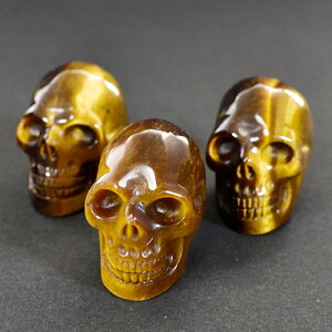 q[} XJi[j ^CK[ACiՖڐ΁j iJ[rOj 30g VR p[Xg[y[֑Ήz