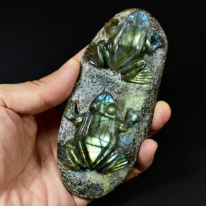 y_ziuhCg 2C̊^iJGj  uyz