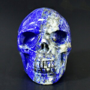 �y��_���z�q���[�}�� �X�J���i�[���j �V�R���s�X���Y�� �����i�J�[�r���O�j 106g �V�R�� �p���[�X�g�[