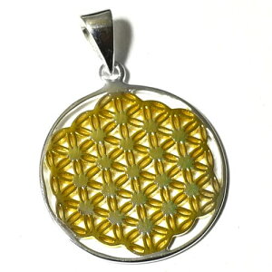 フラワーオブライフ(生命の花) ゴールドコーティング シルバー ペンダントトップ ツリーオブライフ(生命の樹) 旧約聖書 知恵の樹 アダムとイヴ ペンダント【メール便対応可】