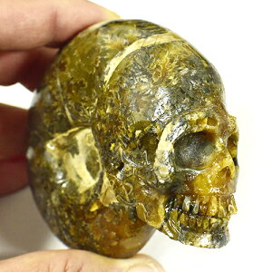 y_zAiCg q[}XJilԓWj J[rOij 208g I }_KXJYyz