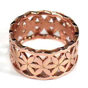 t[IuCtỉԁj 18KsNS[hR[eBO X^[OVo[ Oiwցjyz