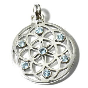 yPETER STONEzt[IuCtỉԁj u[gp[Y Vo[ y_ggbv c[IuCtyz