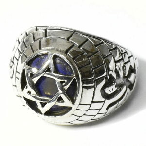 y_zZ䊐i_rf̐j sXY Q̕ X^[OVo[ JbW Oiwցj 15 yz