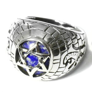 y_zZ䊐i_rf̐j sXY Q̕ X^[OVo[ JbW Oiwցj 15 yz