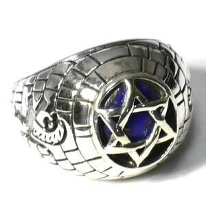 y_zZ䊐i_rf̐j sXY Q̕ X^[OVo[ JbW Oiwցj 15 yz