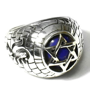 y_zZ䊐i_rf̐j sXY Q̕ X^[OVo[ JbW Oiwցj 15 yz