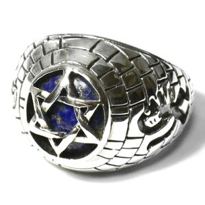 y_zZ䊐i_rf̐j sXY Q̕ X^[OVo[ JbW Oiwցj 15 yz