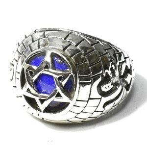 y_zZ䊐i_rf̐j sXY Q̕ X^[OVo[ JbW Oiwցj 15 yz