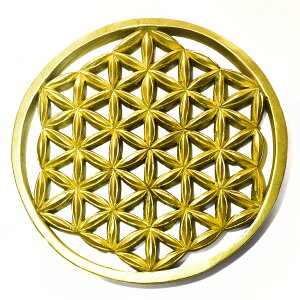 y_zt[IuCtỉԁjS[hJ[ `[NEbh J[rOij Ǌ| aF250mm dF334gyz