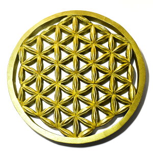 y_zt[IuCtỉԁjS[hJ[ `[NEbh J[rOij aF245mm Ǌ| dF376gyz