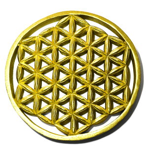 y_zt[IuCtỉԁjS[hJ[ `[NEbh J[rOij Ǌ| aF245mm dF293gyz