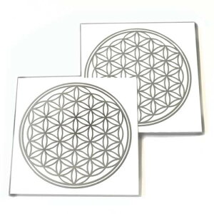 t[IuCtỉԁj FiVo[j ^XebJ[ aF5cm 2Zbg 􉽊w͗ly[֑Ήz