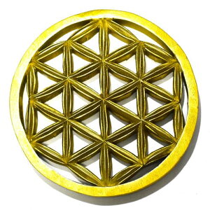 y_zt[IuCtỉԁjS[hJ[ `[NEbh J[rOij Ǌ| aF195mmyz