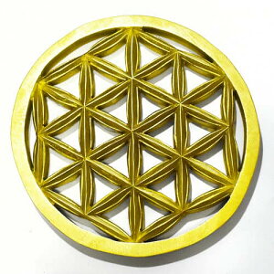 y_zt[IuCtỉԁjS[hJ[ `[NEbh J[rOij Ǌ| aF195mmyz