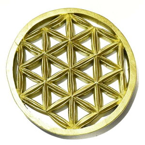 y_zt[IuCtỉԁjS[hJ[ `[NEbh J[rOij Ǌ| aF195mmyz