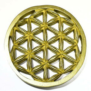 y_zt[IuCtỉԁjS[hJ[ `[NEbh J[rOij Ǌ| aF195mmyz