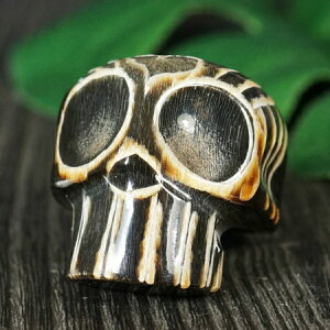 y_z}I gCoXJ p J[rO(j O 17 obt@[z[ j[W[h Z Rq l ͗l ANZT[y[֑Ήz