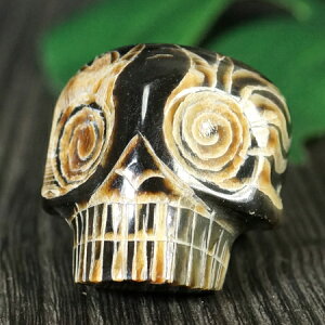 y_z}I gCoXJ p J[rO(j O 14 obt@[z[ j[W[h Z Rq l ͗l ANZT[y[֑Ήz