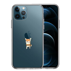 iPhone12 Pro ʃ\tg wʃn[h nCubh NA P[X  Abv dʋ 