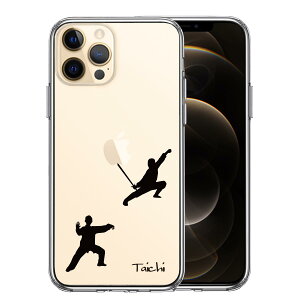 iPhone12 Pro ���ʃ\�t�g �w�ʃn�[�h �n�C�u���b�h �N���A �P�[�X ���Ɍ� Taichi