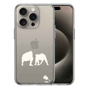 iPhone15 Pro ʃ\tg wʃn[h nCubh NA P[X o  d؂ zCg