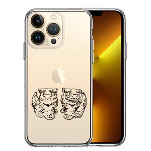 iPhone13 Pro ʃ\tg wʃn[h nCubh NA P[X V[T[ 