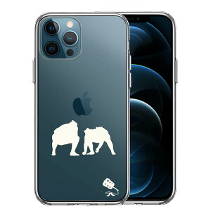 iPhone12 Pro ʃ\tg wʃn[h nCubh NA P[X o  d؂ 