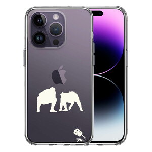 iPhone14 Pro ʃ\tg wʃn[h nCubh NA P[X o  d؂ 