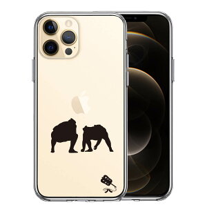 iPhone12 Pro ʃ\tg wʃn[h nCubh NA P[X o  d؂