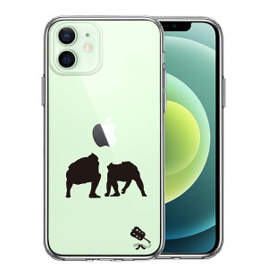 iPhone12mini ʃ\tg wʃn[h nCubh NA P[X o  d؂