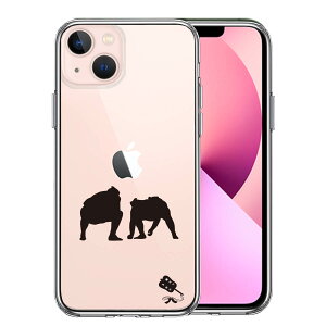 iPhone13mini ʃ\tg wʃn[h nCubh NA P[X o  d؂