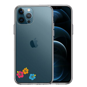 iPhone12 Pro ʃ\tg wʃn[h nCubh NA P[X Ⴂ nCrXJX