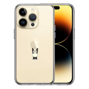 iPhone14 Pro ʃ\tg wʃn[h nCubh NA P[X p_ dʋ 