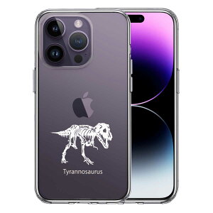 iPhone14 Pro ʃ\tg wʃn[h nCubh NA P[X eBmTEX zCg