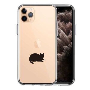 iPhone11pro ʃ\tg wʃn[h nCubh NA P[X ɂ 