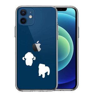 iPhone12 ʃ\tg wʃn[h nCubh NA P[X qVGbg ps[ zCg