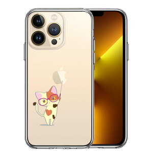 iPhone13 Pro ʃ\tg wʃn[h nCubh NA P[X WPbg OєL Kl