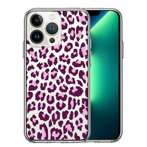 iPhone13 Pro ʃ\tg wʃn[h nCubh NA P[X qE ^ Ip[h sN