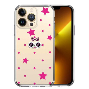 iPhone13 Pro ʃ\tg wʃn[h nCubh NA P[X t@L[ 2