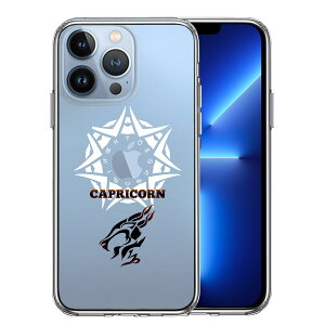 iPhone13 Pro ʃ\tg wʃn[h nCubh NA P[X Rr €